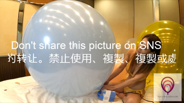 ピーチバルーンクラブ No.7-1 さくらと たくさんの風船 - 画像 (14)